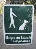 Dogs on Leash