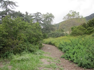 Bailey Canyon Trail from Bailey Canyon
