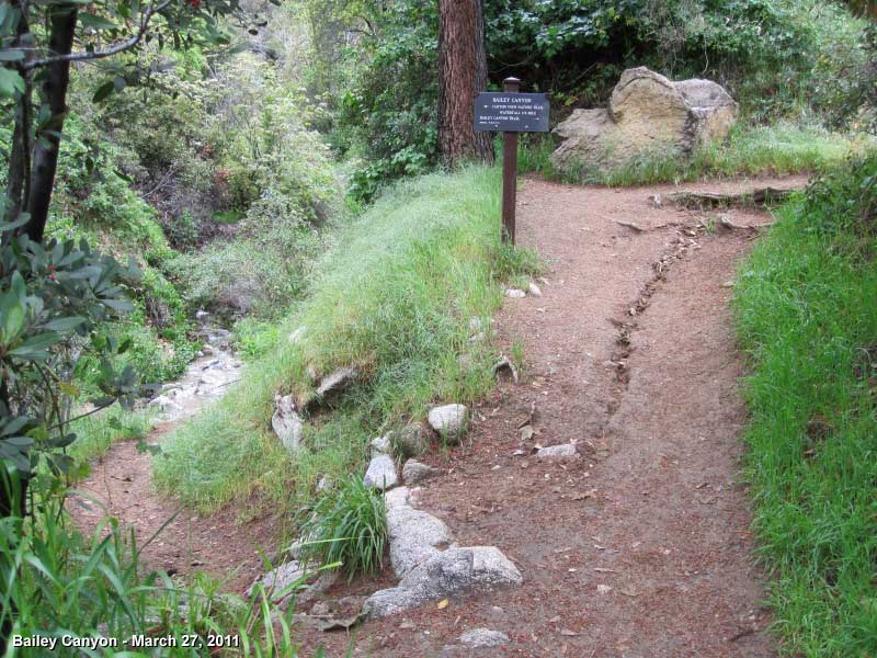Junction to Bailey Canyon Falls