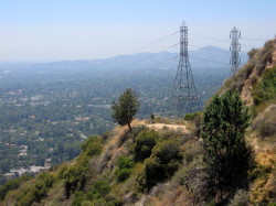 View SW from Mt. Wilson Toll Road