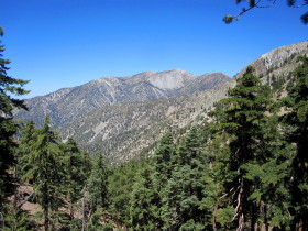 View north toward Mt. Baldy from Ontario Peak Trail, Cucamonga Wilderness, August 21, 2010