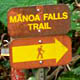 Manoa Falls