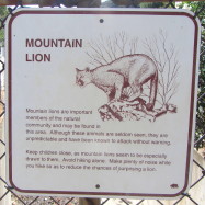 Mountain lion sign Verdugo Mountains