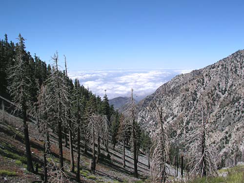 Cucamonga Canyon