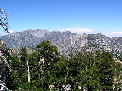 Mt. Baldy