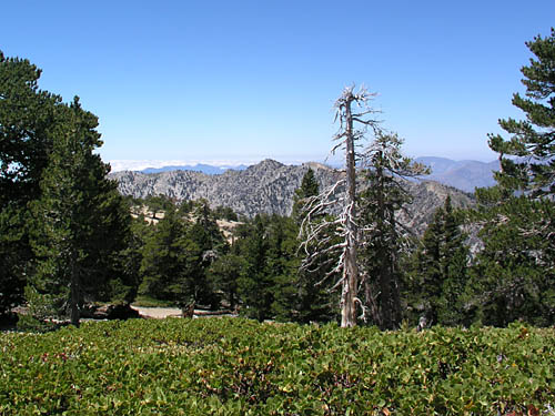 Ontario Peak