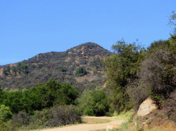 Mt. Bell as seen from Brush Canyon