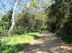 Brush Canyon Trail