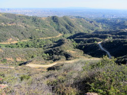 Brush Canyon Griffith Park