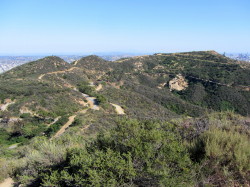 View East from Mt. Chapel