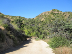 Glendale Peak