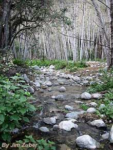 Arroyo Seco photo by Jim Zumber