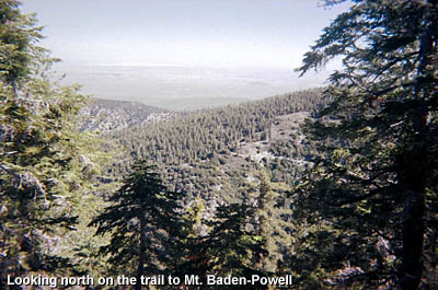 View north toward Mojave Desert