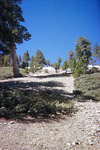 Switchbacks on Baden-Powell Trail