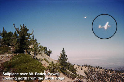 Graceful sailplane flies overhead