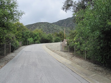 Road Portion of Bailey Canyon Trail