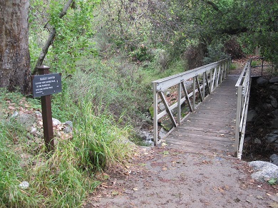 Road Portion of Bailey Canyon Trail