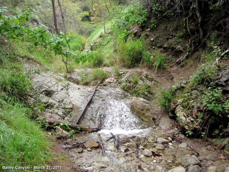 Bailey Canyon Creek