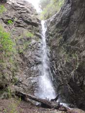 Bailey Canyon Falls, Sierra Madre