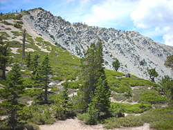 Mount Baldy via Baldy Bowl Trail