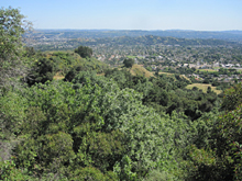 View south from Glendora Mountain Road