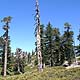 Cucamonga Peak