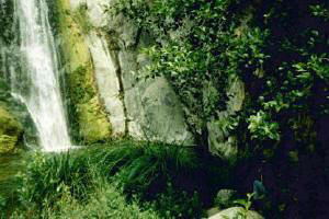 Fish Canyon Falls, May 22, 1997