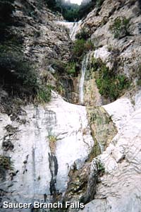 Saucer Branch Falls