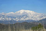 View east toward Mt. Baldy from Summit 3397