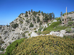 Ontario Peak