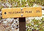 Telegraph Sign
