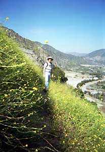 Van Tassel Ridge / Fish Canyon Trail