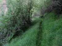 Van Tassel Ridge Trail, Fish Canyon