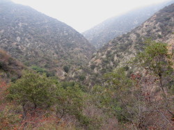 View north into Fish Canyon from Van Tassel Ridge Trail