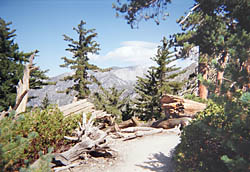 Icehouse Canyon Trail