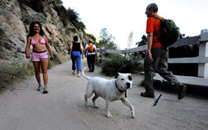 Mt. Wilson Toll Road 1