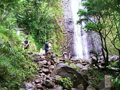 Manoa Falls