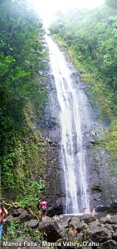 Manoa Falls