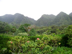 Manoa Falls