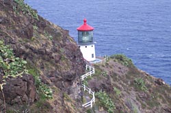 Makapuu Point Life