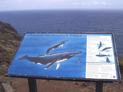 Makapuu